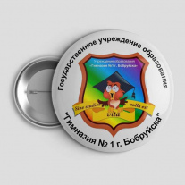 Значок Гимназия №1 Бобруйск
