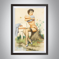 Pin-up портрет - 51