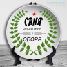 Тарелки на 23 февраля №7 Фото № 1