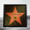 Оптом Награды в рамке на металле - Голливудские звезды с именем - 31-31 см Фото № 1